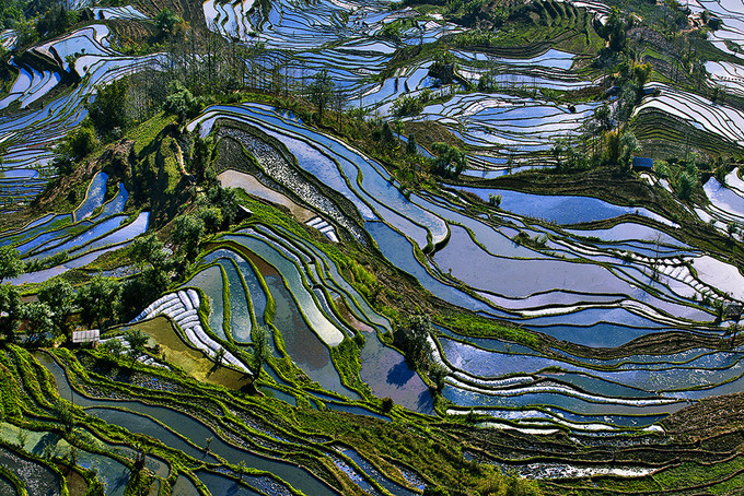 云南元陽(yáng)梯田最佳攝影旅游季節(jié)是什么時(shí)候呢？求告知！