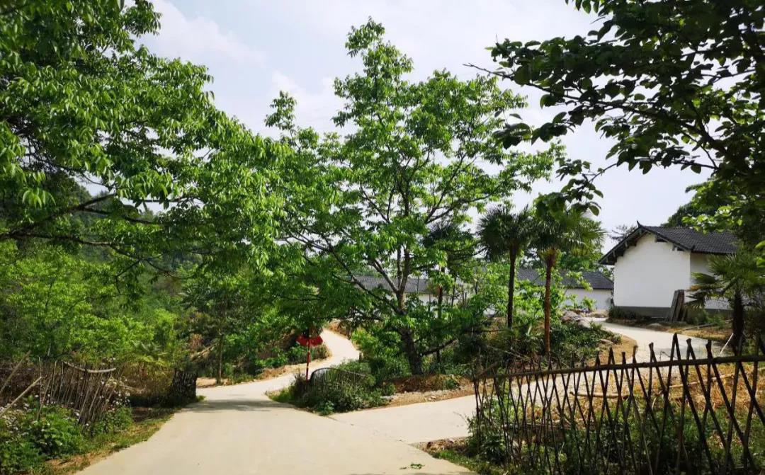 云南鄉(xiāng)村旅游，“玩”出特色！德宏：打好發(fā)展組合拳