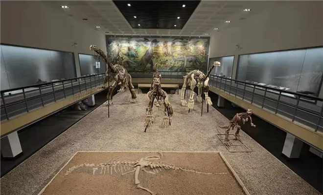 祿豐恐龍博物館 祿豐恐龍博物館