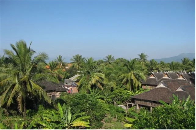 美麗的西雙版納永遠(yuǎn)都是“象”往的地方！