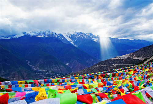 不足600只！云南這種絕美動(dòng)物遠(yuǎn)比大熊貓珍惜