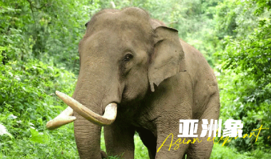 秋冬天來云南旅游團建是個不錯的選擇云南旅行社,云南團建公司,云南策劃公司,云南會議會展,云南策劃執(zhí)行：云南避寒暖冬之旅